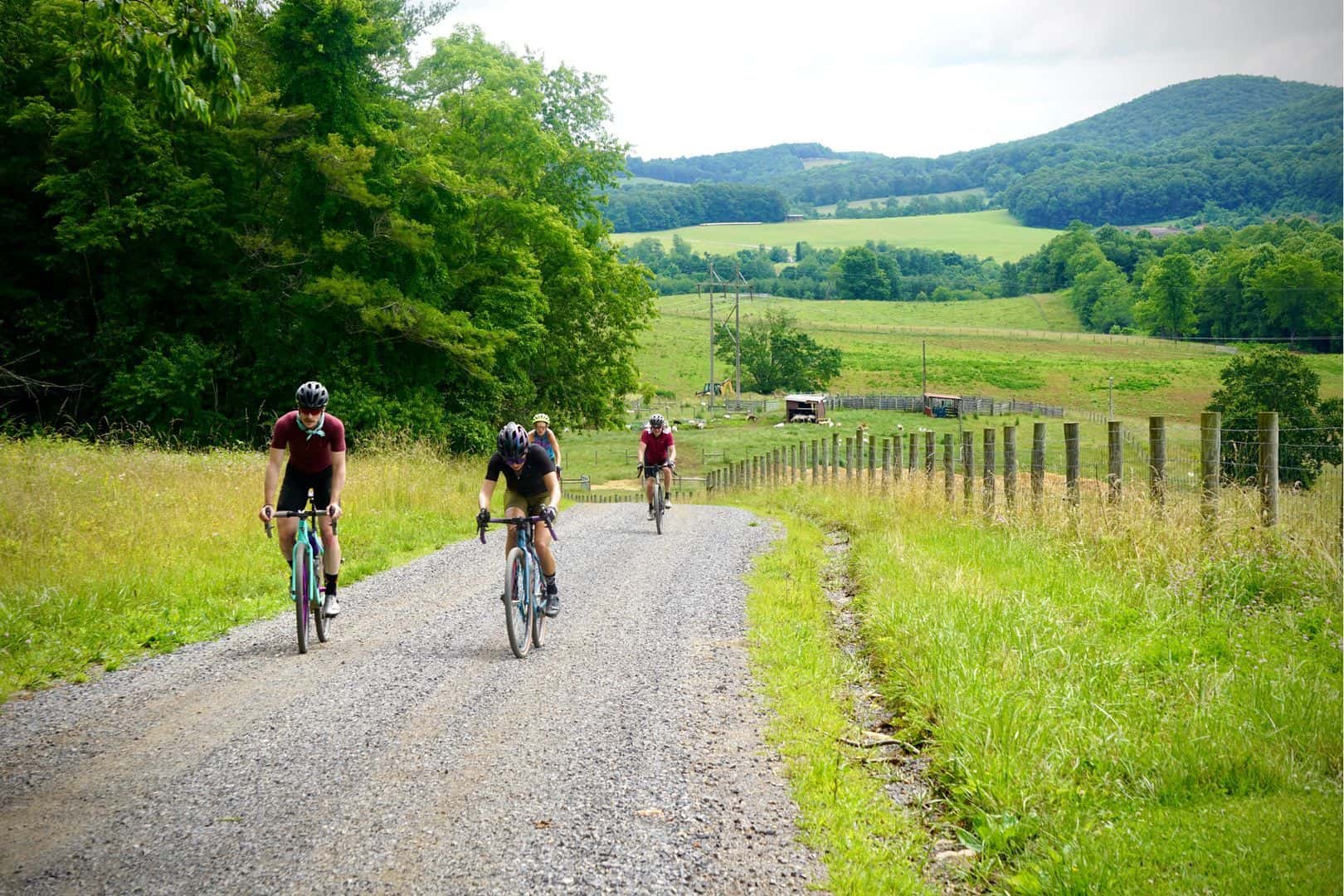 493299327_1255275393265639_8252491663226859272_n (1)