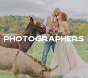 A couple in wedding attire embraces in a field, surrounded by donkeys. The bride holds a colorful bouquet, and the scene features lush greenery and autumn-colored trees in the background.