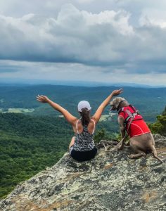A person and a dog sitting on a rocky ledge, looking out over a green valley and mountains under a cloudy sky. The person is raising their arms in a gesture of joy or celebration.