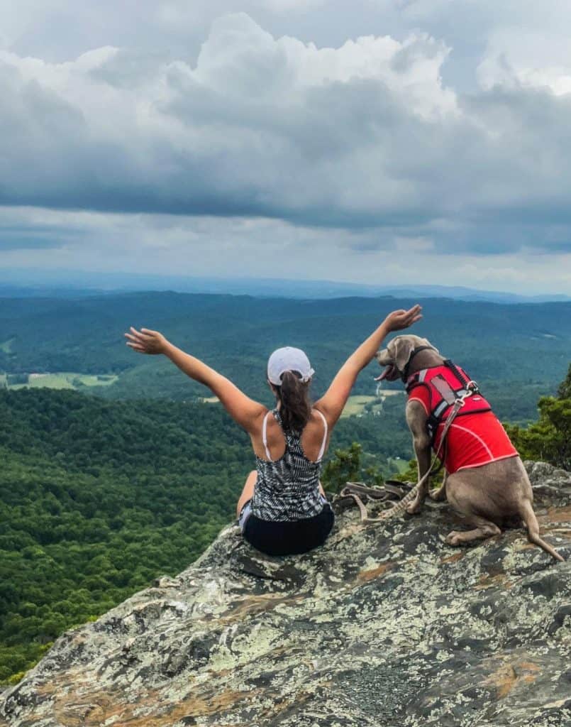 A person and a dog sitting on a rocky ledge, looking out over a green valley and mountains under a cloudy sky. The person is raising their arms in a gesture of joy or celebration.