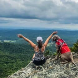 A person and a dog sitting on a rocky ledge, looking out over a green valley and mountains under a cloudy sky. The person is raising their arms in a gesture of joy or celebration.